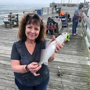 Meet your Posher, Jill